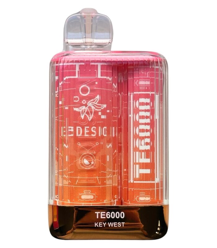 EBCREATE TE6000 Puffs Rechargeable Disposable Vape | Vape Paradise